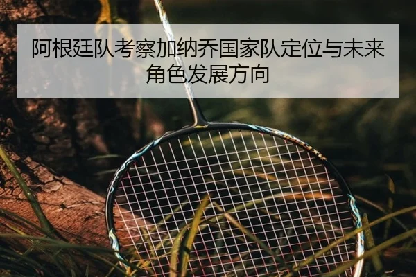 阿根廷队考察加纳乔国家队定位与未来角色发展方向
