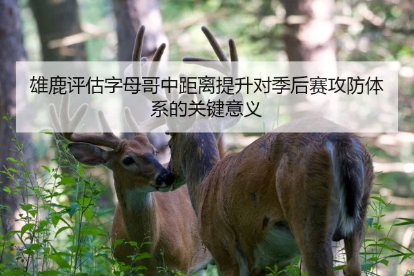 雄鹿评估字母哥中距离提升对季后赛攻防体系的关键意义